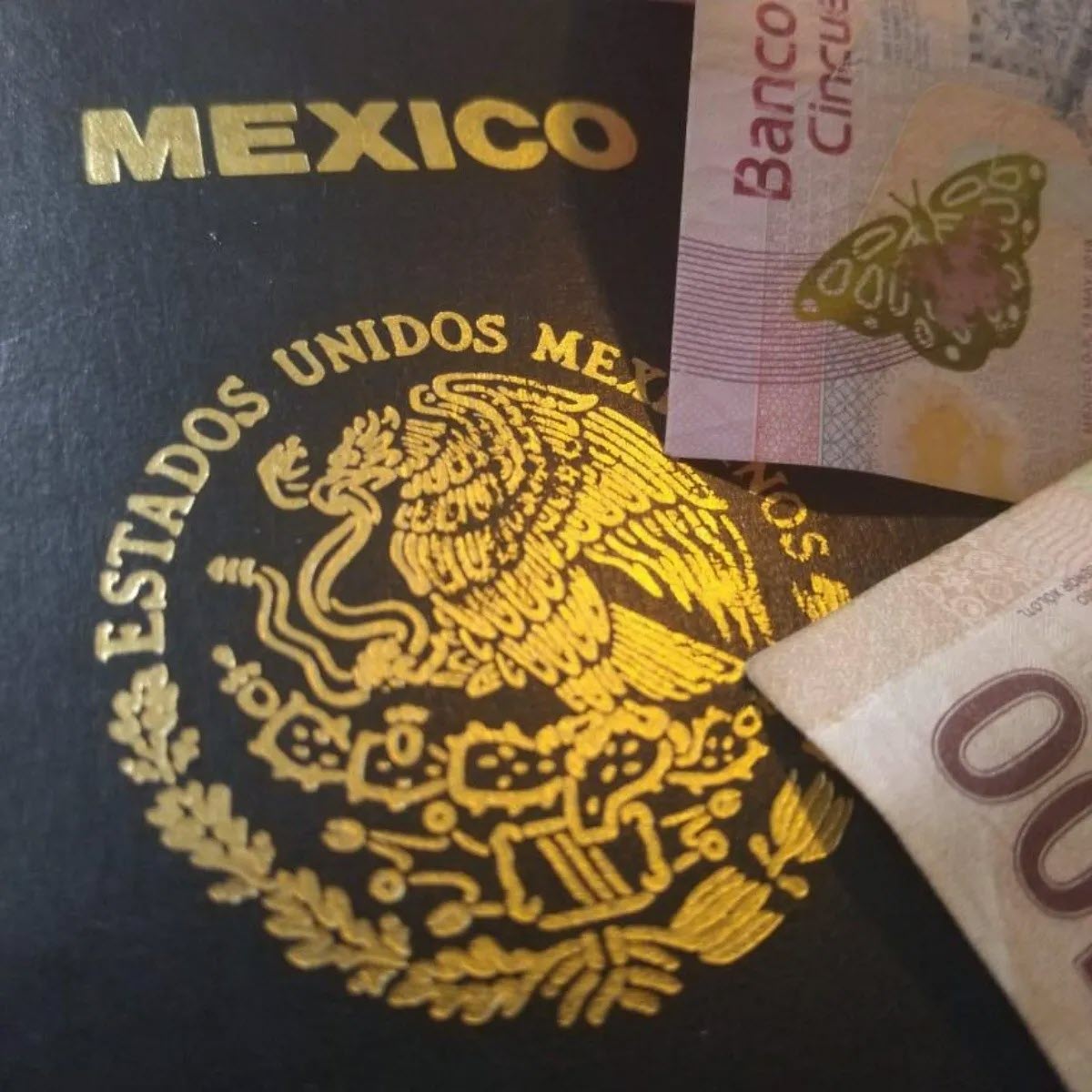 Requisitos para obtener un pasaporte en Veracruz México