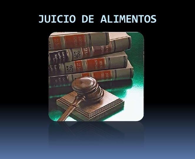 ¿CÓMO REALIZAR UN JUICIO DE ALIMENTOS EN ECUADOR?